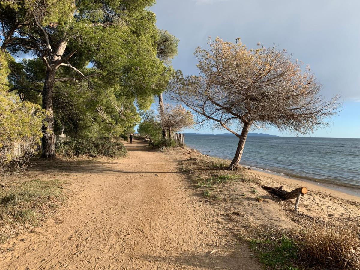 T2 climatisé à l'Ile d'Or avec piscine près de la plage La Londe-les-Maures Esterno foto